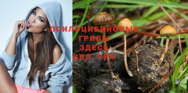 Альфа ПВП Алзамай
