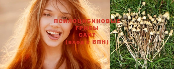 Альфа ПВП Алзамай